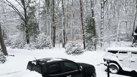 fresh snowfall laying heavy on a driveway and vehicles