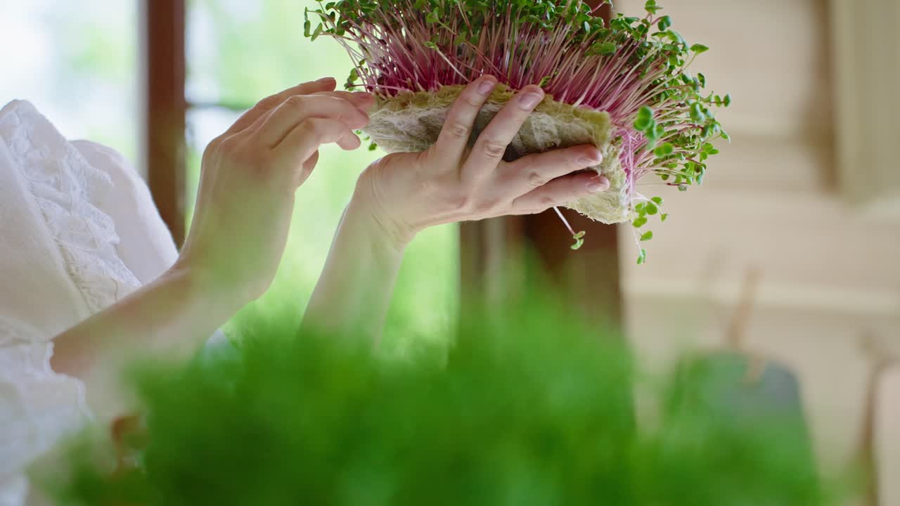 Woman Preparing Microgreens