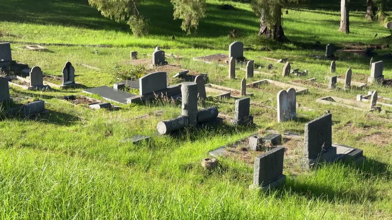 Graveyard in a old field