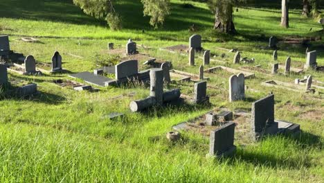graveyard in a old field