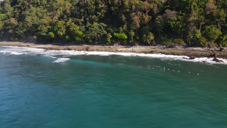 Colony-of-seagulls-flying-over-the-beach-in-a-tropical-ecosystem