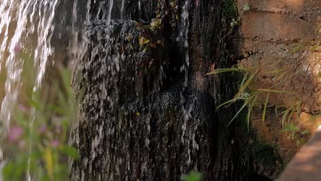close up of a small beautiful waterfall with nice greenery