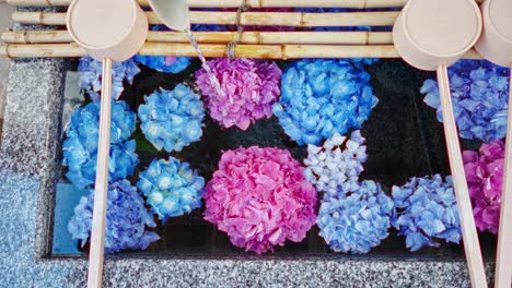 beautiful-hydrangea-in-shrine-water