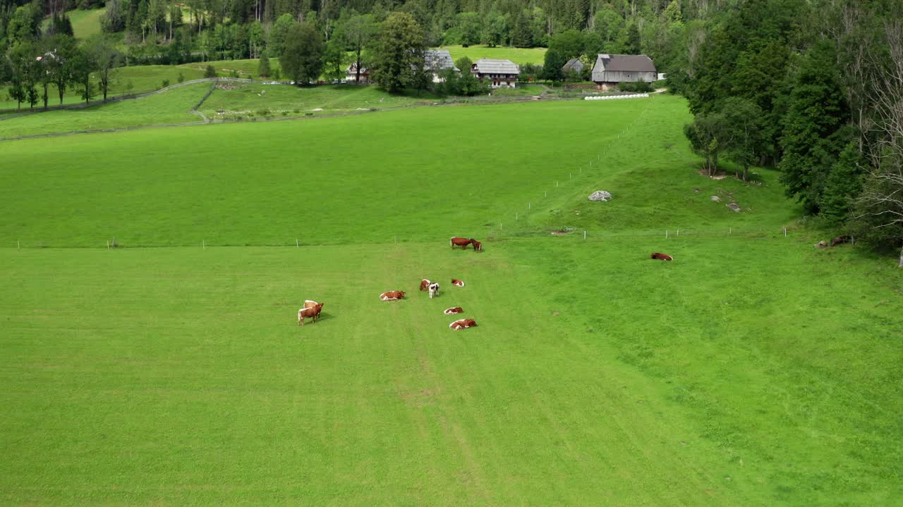 vista aérea de pastos alpinos, granja en el fondo, jezersko, eslovenia