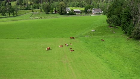 Vista-Aérea-De-Pastos-Alpinos,-Granja-En-El-Fondo,-Jezersko,-Eslovenia