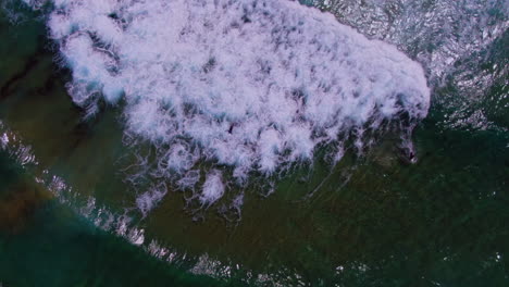 aerial: birdseye view of australian surfers paddling against waves and strong current