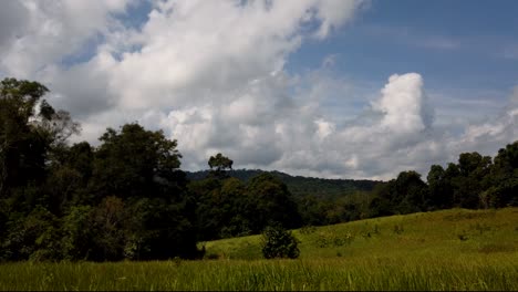 Paisaje-En-El-Parque-Nacional-De-Khao-Yai,-árboles-Y-Montañas-Con-Grandes-Nubes-Esponjosas-Que-Proyectan-Sombras