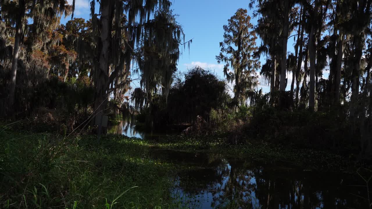 Uma superfície de água refletindo árvores cria um cenário verdadeiramente belo. As árvores circundantes exibem formas sinuosas sob um magnífico céu em tons de azul.