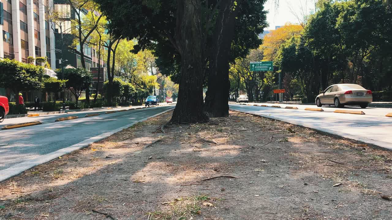 Timelapse na avenida mais longa da Cidade do México, Insurgentes