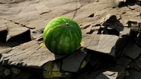 bayas de frutas de sandía en piedras rocosas