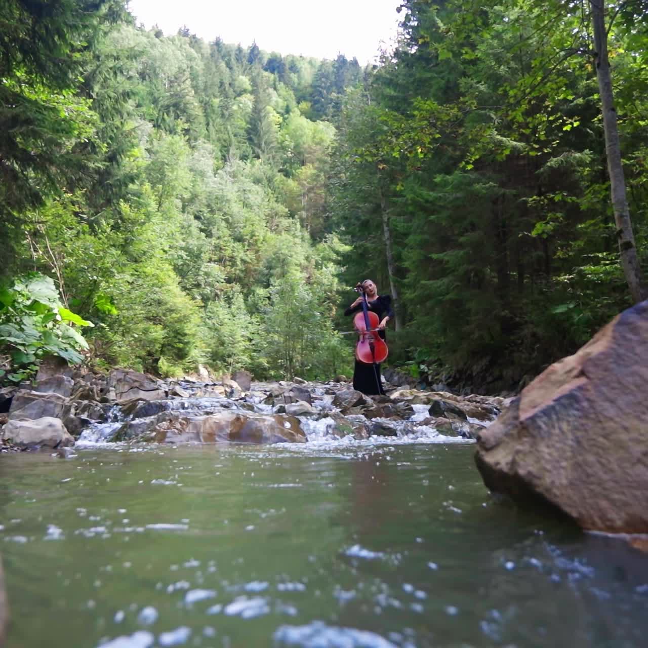 Young woman cello player