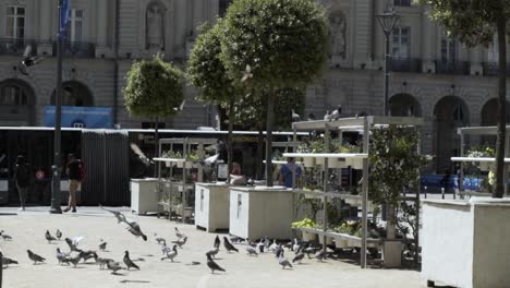 city square with bus and people