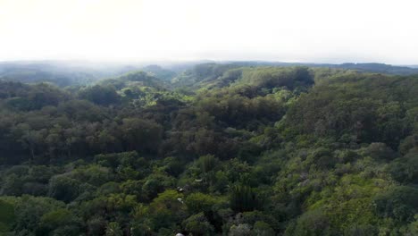 Drone-Aerial-Pushing-Forward-Twin-Falls-Maui,-Road-To-Hana,-Hawaii