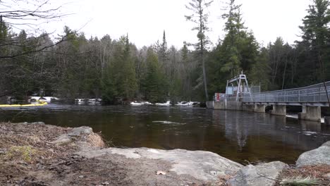 the serene beauty of a peaceful forest is enhanced by the presence of a metal bridge, which spans a tranquil body of water