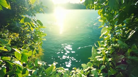 a view of the ocean through a hole in the leaves of a tree