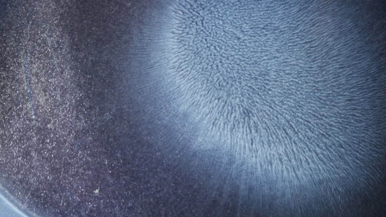 Blue alcohol ink bloom in macro view, forming abstract textures with soft lighting