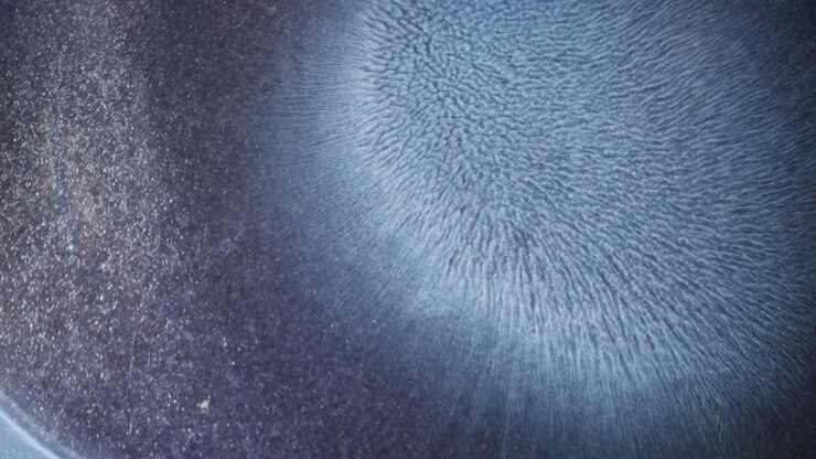 Blue alcohol ink bloom in macro view, forming abstract textures with soft lighting