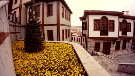 césped de flores con flores amarillas y pequeñas casas blancas antigua ankara