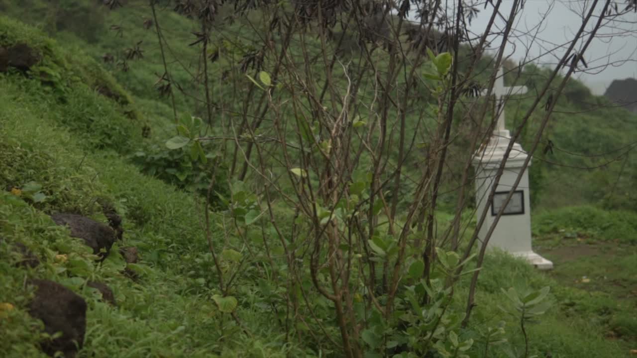 해변 근처에 나무, 풀, 바위, 흰색 고립된 묘비가 있는 지역