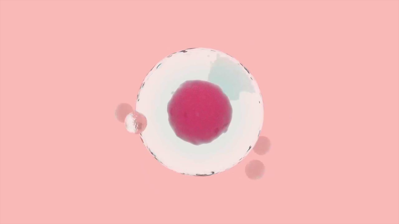 3D Rendering of a Cell with Nucleus