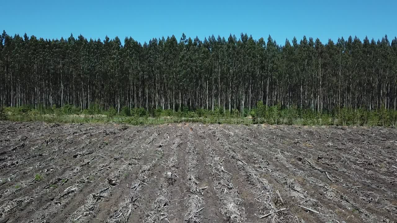 Drone Aerial View of Deforestation in Countryside of Chile. Cutting Trees For Economic Purpose, Climate Change Concept