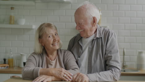 happy senior couple in kitchen