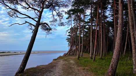 Blick-Auf-Hohe-Bäume-An-Der-Küste-Von-Irbes-Ieteka,-Kempings-In-Lettland-Am-Abend