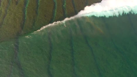 surfer duck diving under wave