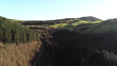 Coed-Llangwyfan-Galés-Arbolado-Valle-Parque-Nacional-Desierto-Aéreo-Vista-Ascendente-Amanecer-Campo