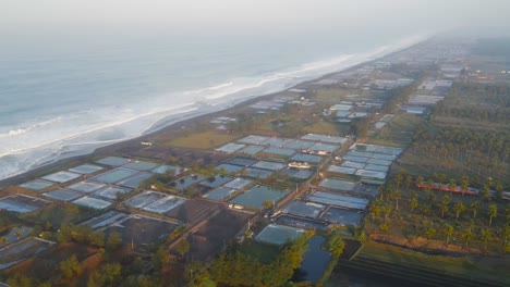 Sea-ponds-in-Indonesia,-traditional-salt-production,-cinematic-sunrise-aerial