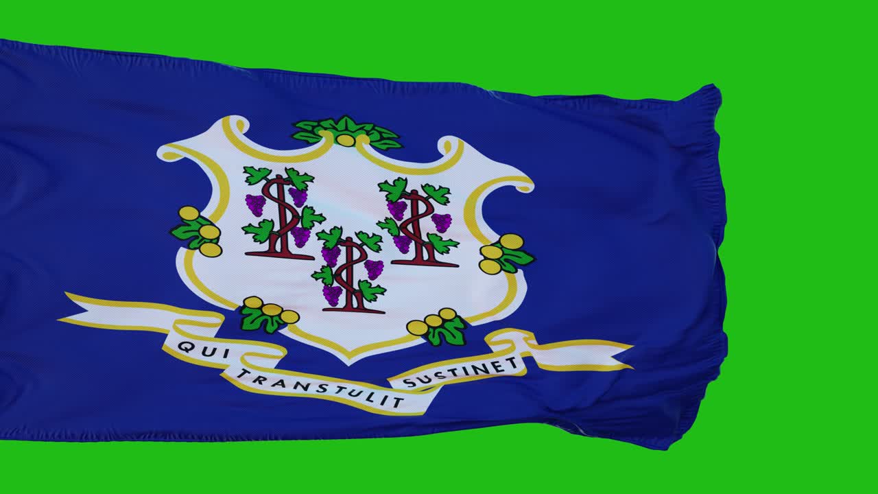 녹색 화면에 있는 코네티의 발: 녹색 스크린을 사용하여 자신의 배경에 완벽한 3d 렌더링