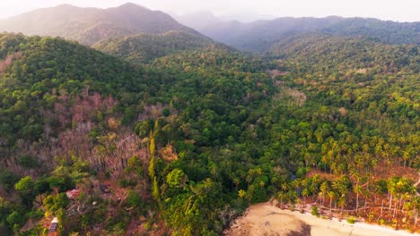 aerial view above a colorful forest at the koh chang lonely beach, green, yellow, orange leafs, fog, dolly shot backwards