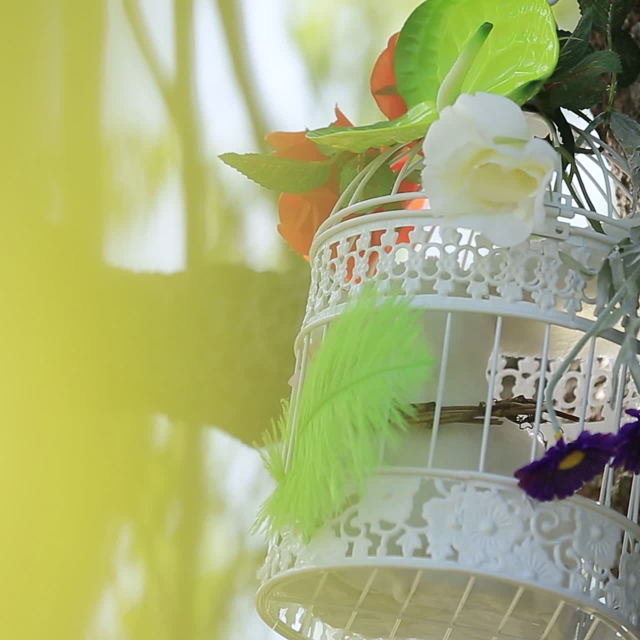 in the park on a branch hanging white bird cage with a beautiful bouquet of flowers