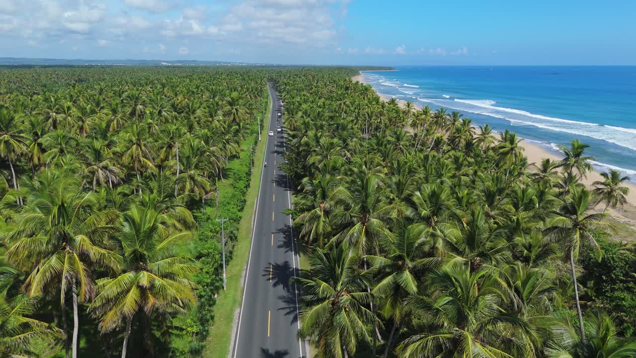 Palme da cocco e una splendida spiaggia all'ingresso di Nagua, un viaggio via mare.