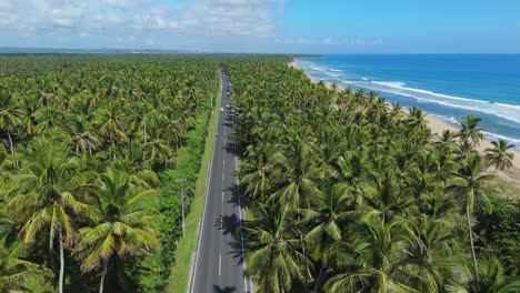 coconut trees and a beautiful beach at the entrance of nagua, a journey by the sea.