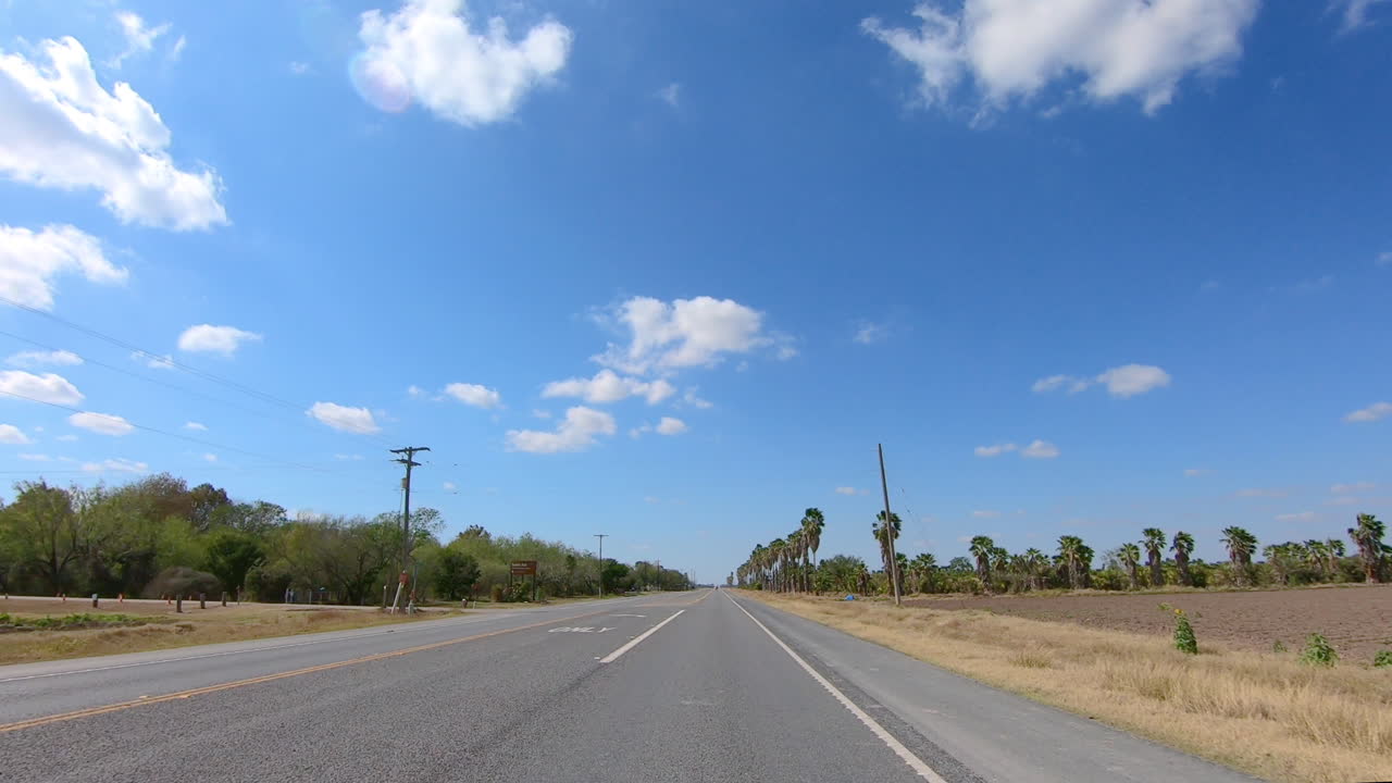 pov는 산타 안나 야생 동물 보호 구역과 국제 국경 근처 텍사스의 군사 고속도로에서 야자나무 대추야자 숲을 지나 운전합니다.