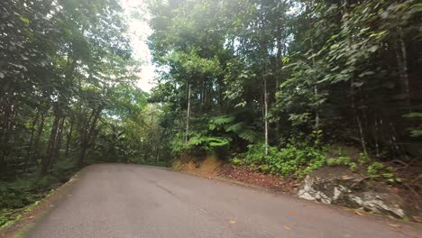 Conduciendo-Por-La-Carretera-Del-Parque-Nacional,-Bosque-Denso-Y-Exuberante-Vegetación-En-La-Isla-Mahe,-Seychelles-60-Fps-9