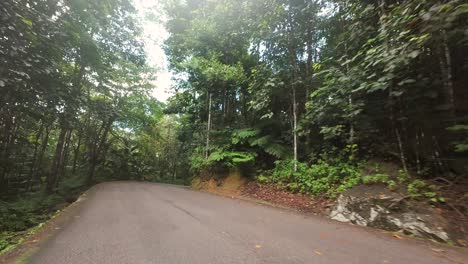 conduciendo a través de la carretera del parque nacional, denso bosque, vegetación exuberante en la isla de mahe, seychelles 60 fps 9