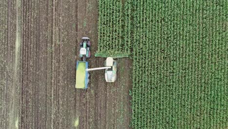 a top down clip of maize being harvested, mulched, and blown into a tractor trailer unit driving alongside