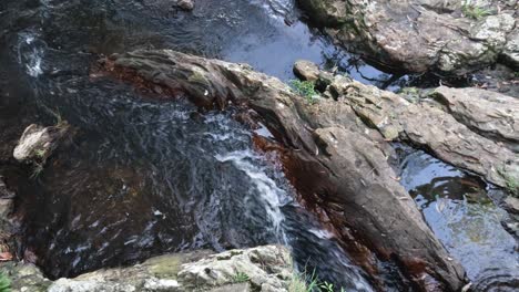 water flowing over rocks in a stream