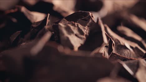 chunks of sweet dark chocolate sliding backdrop, close-up