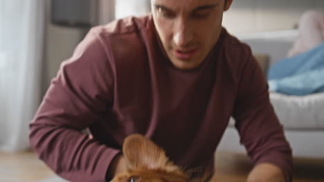 pet lying knees man on apartment carpet close up. relaxed dog enjoying caress