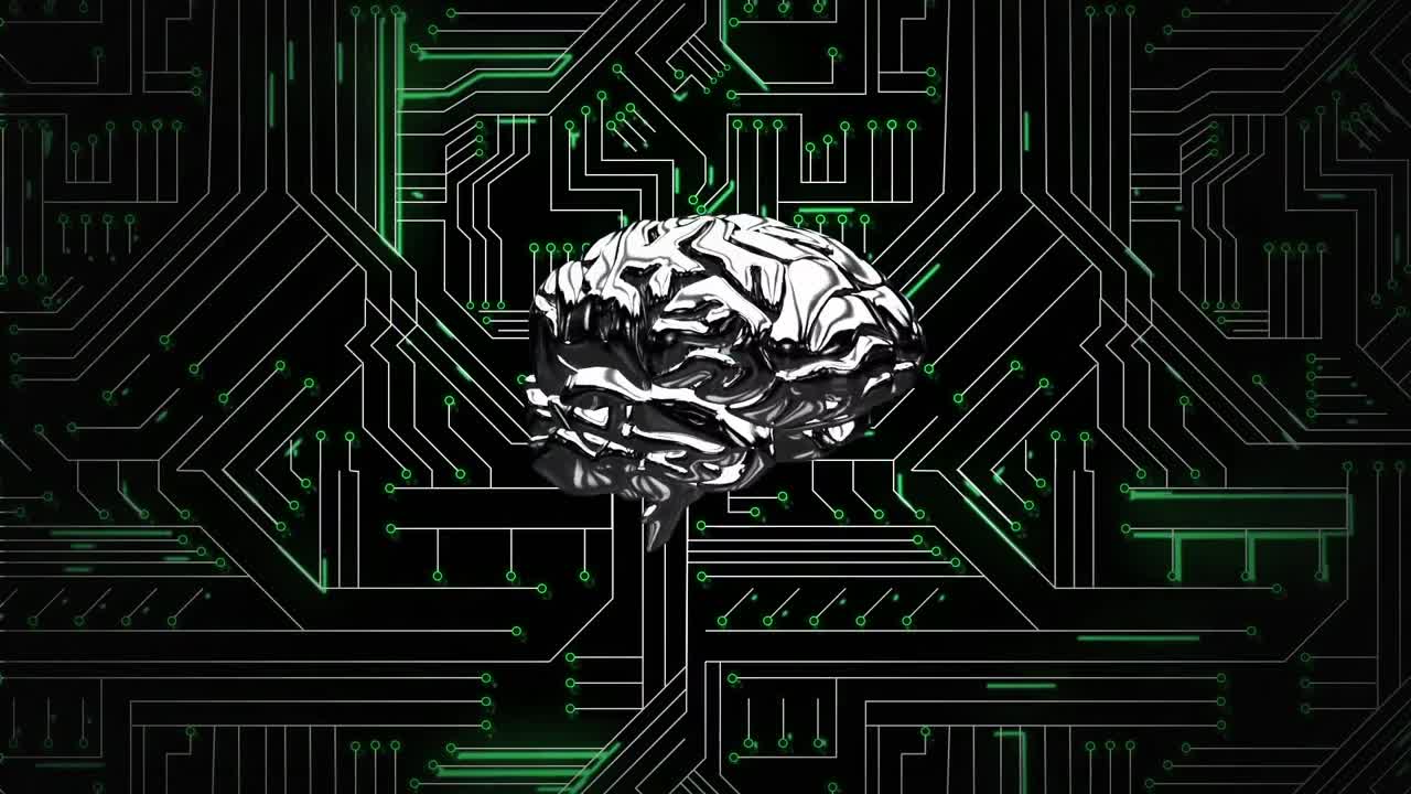 Brain and digital circuit