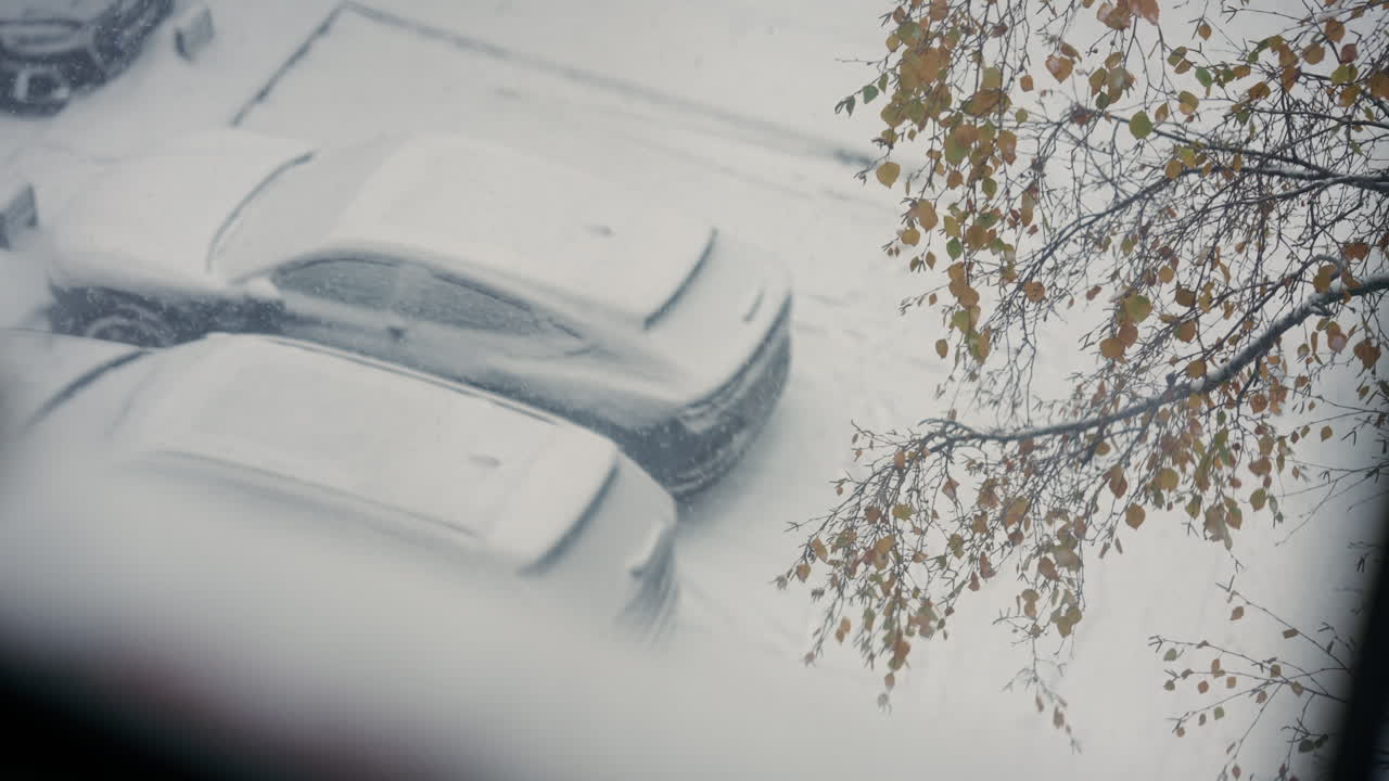 coches cubiertos de nieve en una calle tranquila, con hojas de otoño en primer plano