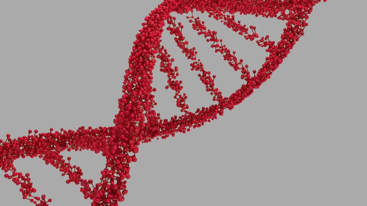 ADN en doble hélice