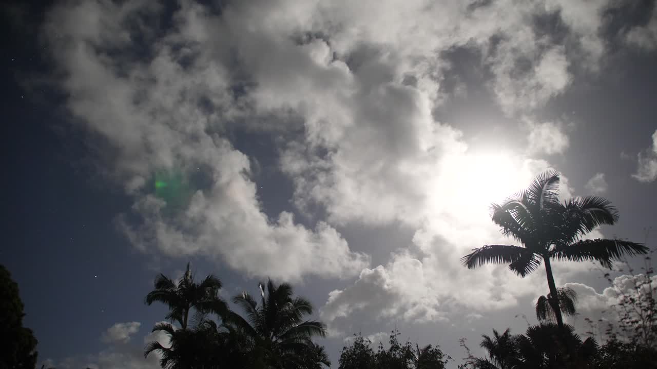 프레임을 가로질러 움직이는 야자수와 구름의 시간 경과 동안 움직이는 태양