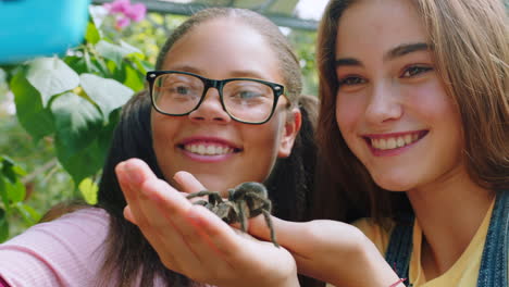 spider, friends and phone with girl in zoo