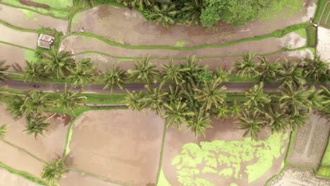 Aerial-view-of-flooded-rice-paddies-and-road-with-motorcycles-and-scooters-in-Bali,-Indonesia