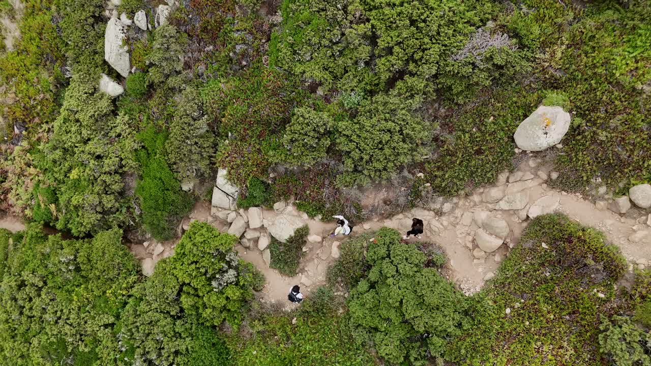 People hiking on a path through vegetation and rocks