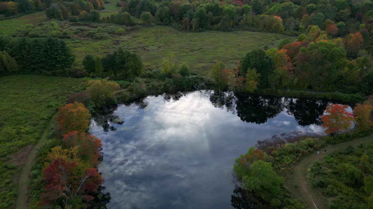 Drone orbit above pond reflecting sky and clouds in middle of forest wetlands